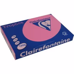 Clairefontaine 1219C, Universale, A4 (210x297 mm), Opaco, 250 fogli, 120 g/m², Rosa