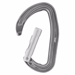 Petzl DJINN Moschettone di blocco Alluminio Grigio 1 pz