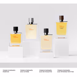 Terre D’HERMÈS eau de toilette vaporizzatore 50 ml - Vista aggiuntiva 4