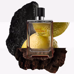 Terre D’HERMÈS Parfum Intense eau de parfum ricarica