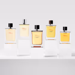 Hermes Terre d’Hermès Ricarica Eau de parfum intense 200 ml - Vista aggiuntiva 4