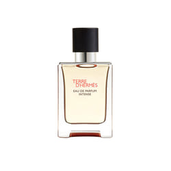 Terre D’HERMÈS Parfum Intense eau de parfum vaporizzatore