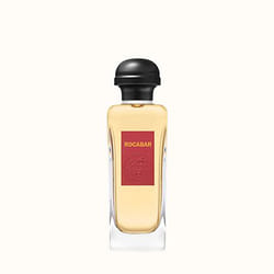 Hermes Rocabar eau de toilette 100ml