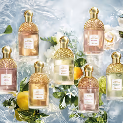 Guerlain Aqua Allegoria Herba Fresca Eau De Toilette 125ml - Vista aggiuntiva 4