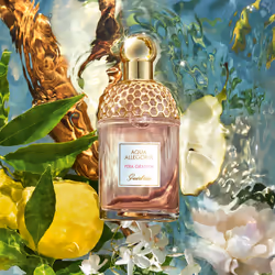 Guerlain Aqua Allegoria Pera Granita Eau de Toilette 125ml