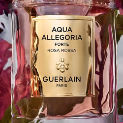 Guerlain Rosa Rossa Forte Eau De Parfum 75 ml - Vista aggiuntiva 4