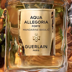 Guerlain Mandarine Basilic Forte Eau De Parfum 75 ml - Vista aggiuntiva 4