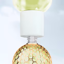 Aqua Allegoria Nerolia Vetiver eau de parfum vaporizzatore ricarica 200 ml - Vista aggiuntiva 4