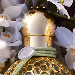Guerlain Aqua Allegoria Nerolia Vetiver Harvest Eau De Toilette 125ml - Vista aggiuntiva 4