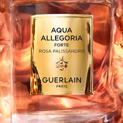 Guerlain Aqua Allegoria Rosa Palissandro Forte Eau De Parfum 125ml - Vista aggiuntiva 4