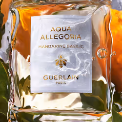 Guerlain Aqua Allegoria Mandarine Basilic 40 ml Donna - Vista aggiuntiva 4