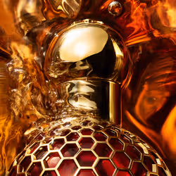 Guerlain Absolus Allegoria Ambre Samar Eau De Parfum 125 ml - Vista aggiuntiva 3