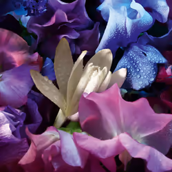 Guerlain Absolus Allegoria Florabloom Eau De Parfum 75 ml - Vista aggiuntiva 3