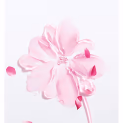 Dior Miss Brume setosa per il corpo 100 ml - Vista aggiuntiva 4