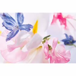 Dior Miss 2021 Eau De Parfum 30ml - Vista aggiuntiva 4