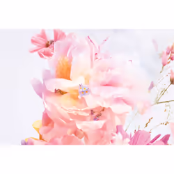 Dior Miss Blooming Bouquet Eau De Toilette 100ml