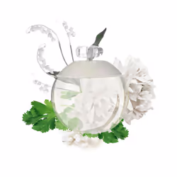 Noa eau de toilette vaporizzatore 50 ml - Vista aggiuntiva 4