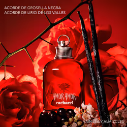 Amor Amor eau de toilette vaporizzatore 100 ml