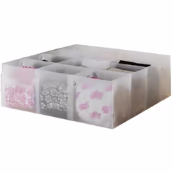 Organizzatore per biancheria e accessori colore chiaro materiale polipropilene Dimensioni 10 x 30,5 x 30,5 cm (HxLxP) 12 scom ...