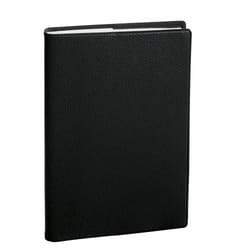 Quo Vadis 016111Q organizzatore personale