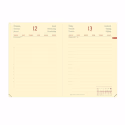 Quo Vadis 617014Q organizzatore personale