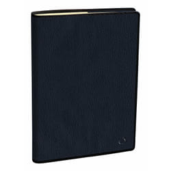 Quo Vadis Marlow organizzatore personale Carta, Sintetico Blu