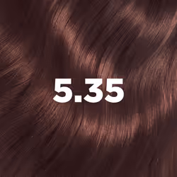 LAZARTIGUE 3372290181125 colore per capelli Marrone