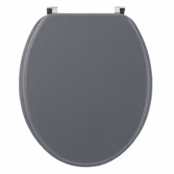 Wirquin 20717953, Allungato, Coperchio rigido da WC, Grigio chiaro, Legno, 375 mm, 455 mm