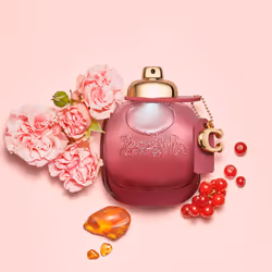 Coach Wild Rose eau de parfum vaporizzatore 30 ml