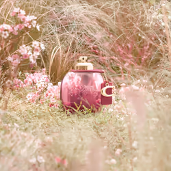 Coach Wild Rose eau de parfum vaporizzatore 30 ml