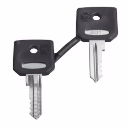 Schneider Electric ZBD8D1, Chiave, Harmony XB4Harmony XB5, 14 g, 12 g, 53 mm, 100 mm