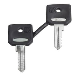 Schneider Electric ZBD8D1 accessorio per interruttore elettrico Chiave