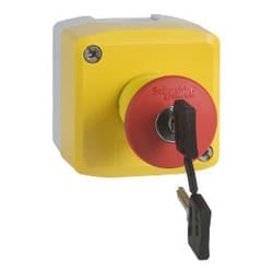 Schneider Electric XALK188F interruttore elettrico