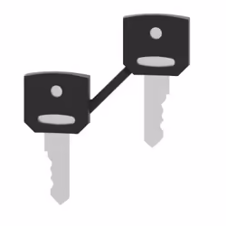 Schneider Electric ZBG421E accessorio per interruttore elettrico Chiave