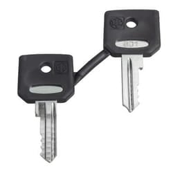 Schneider Electric ZBG520E accessorio per interruttore elettrico Chiave
