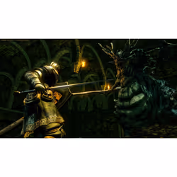 BANDAI NAMCO Entertainment Dark Souls Trilogy Standard PlayStation 4 - Vista aggiuntiva 2