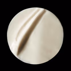 Filorga Optim-Eyes Crema per contorno occhi Donna 15 ml - Vista aggiuntiva 5