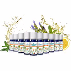 Puressential Eucalipto Radiata Olio Essenziale Bio 10ml