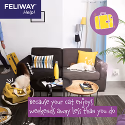 Feliway Help Soluzione Antistress per Gatti 3 Ricariche - Vista aggiuntiva 4