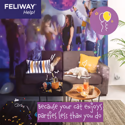 Feliway Help Soluzione Antistress per Gatti 3 Ricariche - Vista aggiuntiva 6