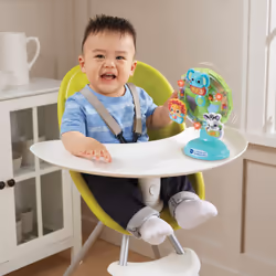 VTech Baby LA GRANDE ROUE DES LOULOUS