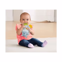 VTech Baby 80-502504 giocattolo educativo