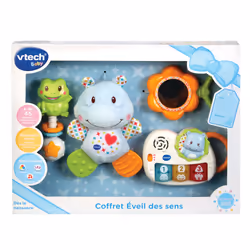 VTech 80-522005 giocattolo educativo