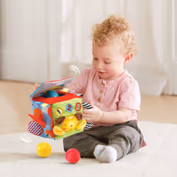 VTech Baby 80-528205 giocattolo educativo