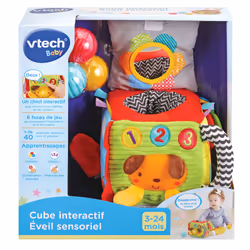 VTech Baby 80-528205 giocattolo educativo