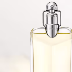 Cartier Déclaration Eau De Toilette 100 ml