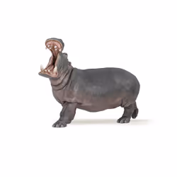 Papo 50051, 3 anno/i, Wild animal, Grigio, PVC