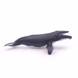 Papo 56001, 3 anno/i, Marine life, Nero, Bianco, PVC