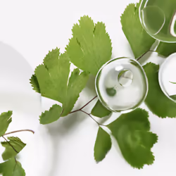 Sisley Emulsion Ecologique formule avancée 60 ml - Vista aggiuntiva 4