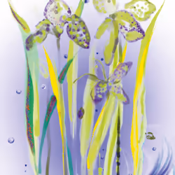 Sisley L'Eau Rêvée d’Alma Eau De Toilette 100 ml - Vista aggiuntiva 4